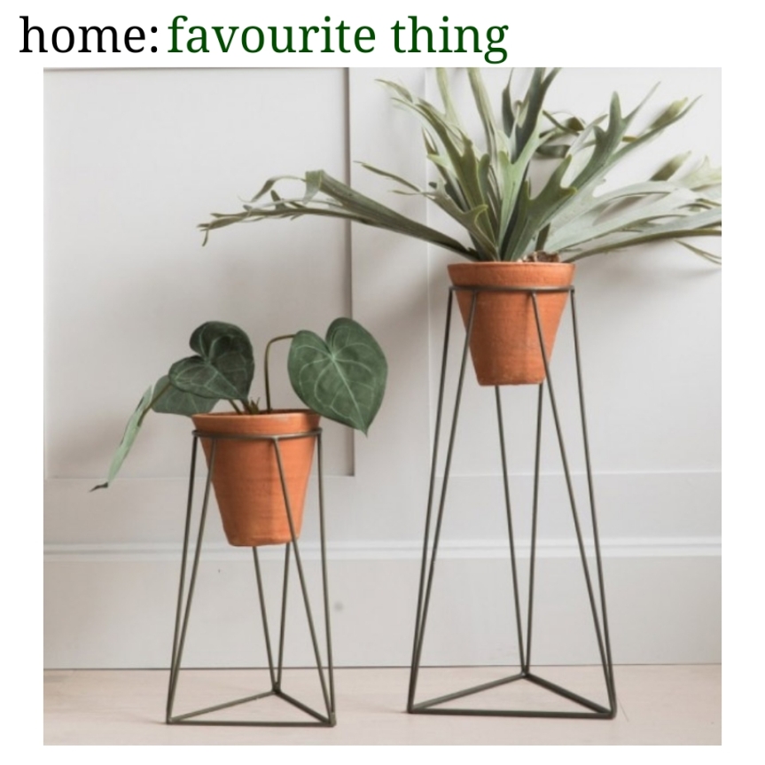 home: favourite thing [ plant stands ]