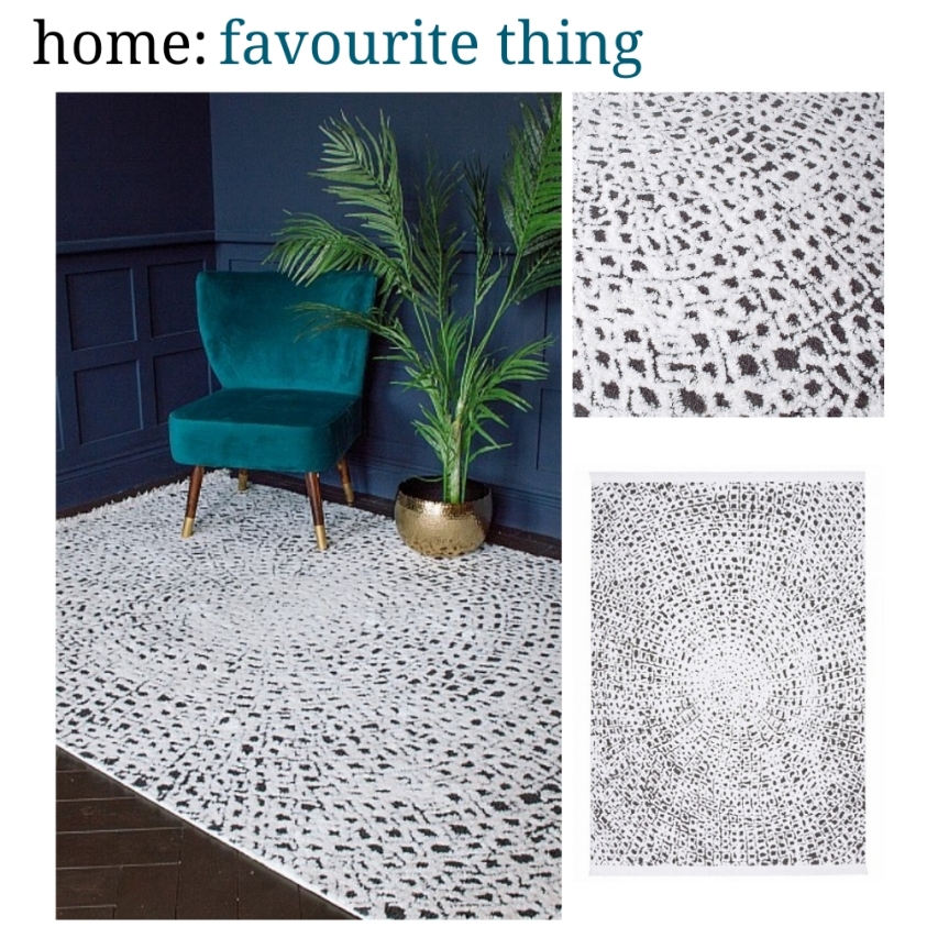 home: favourite thing [ rug ]
