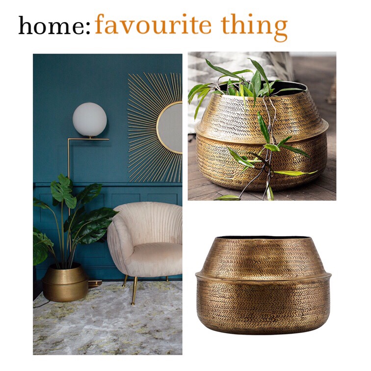 home: favourite thing [ planter ]