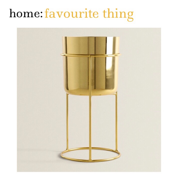 home: favourite thing [ planter ]