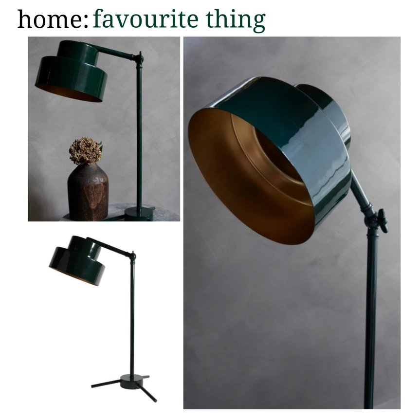 home: favourite thing [ lamp ]